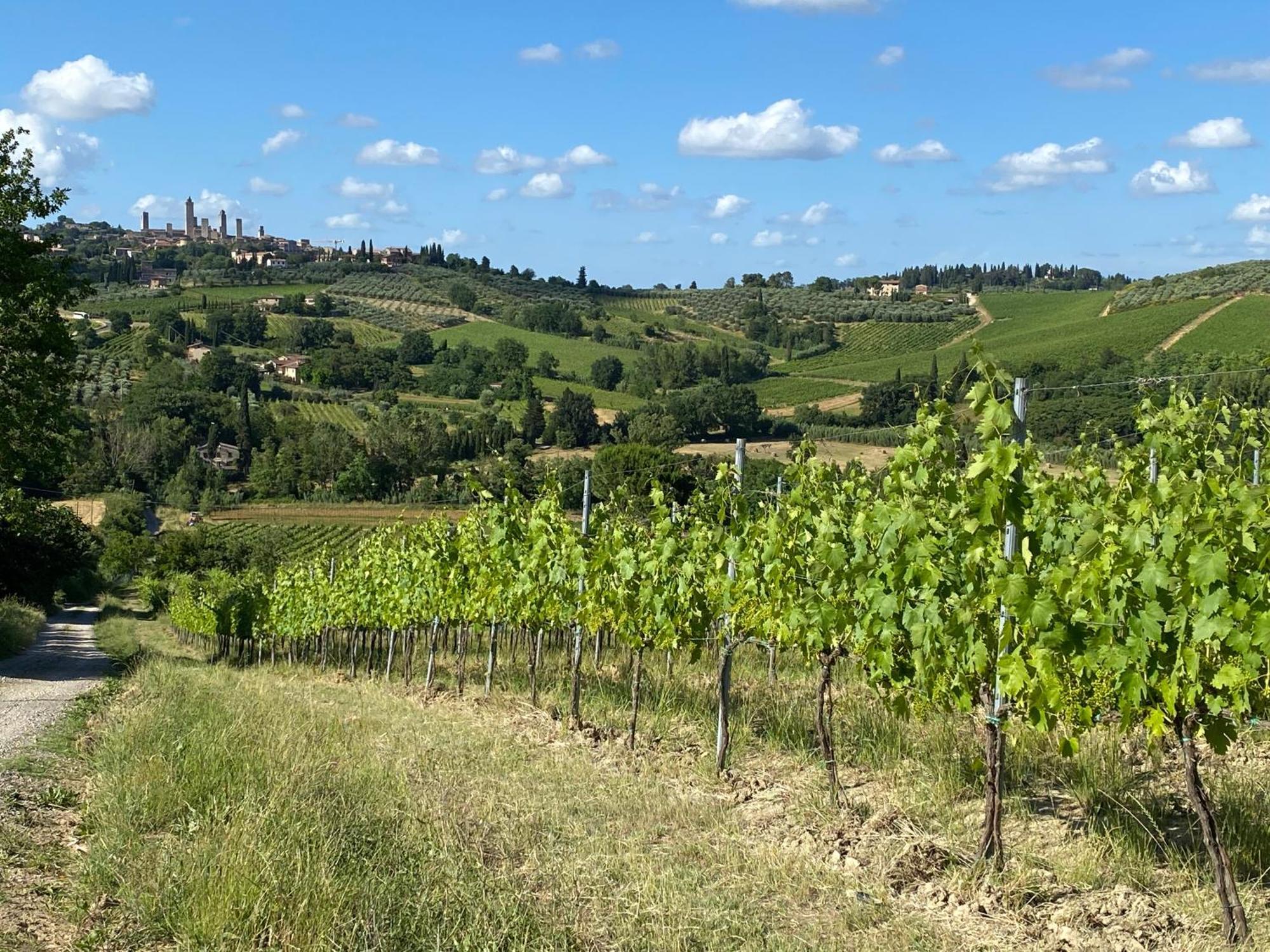 Podere Casanuova سان جيمينيانو المظهر الخارجي الصورة
