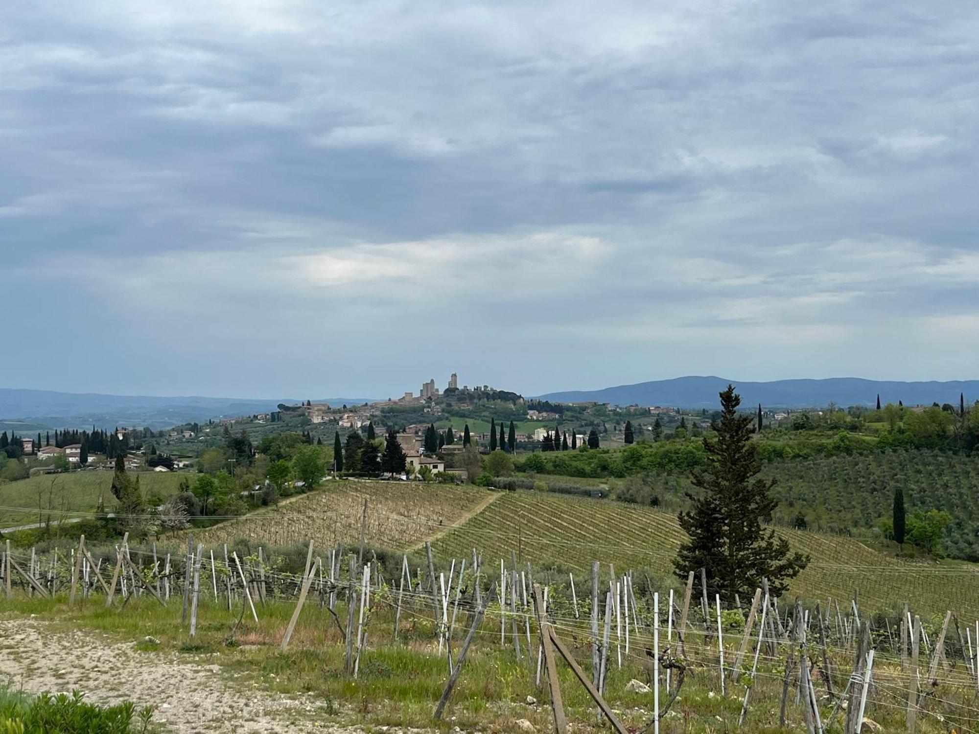 Podere Casanuova سان جيمينيانو المظهر الخارجي الصورة