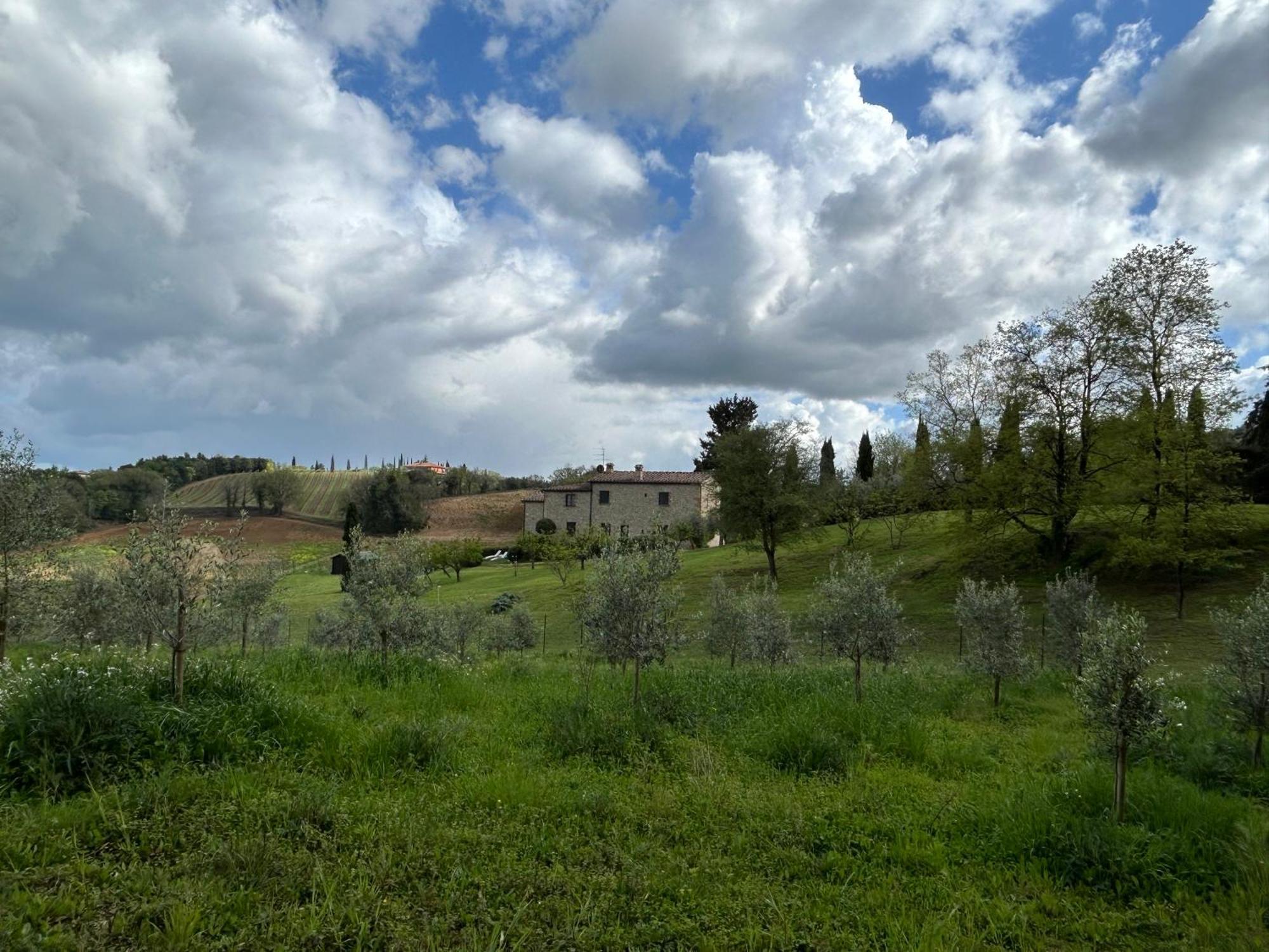 Podere Casanuova سان جيمينيانو المظهر الخارجي الصورة