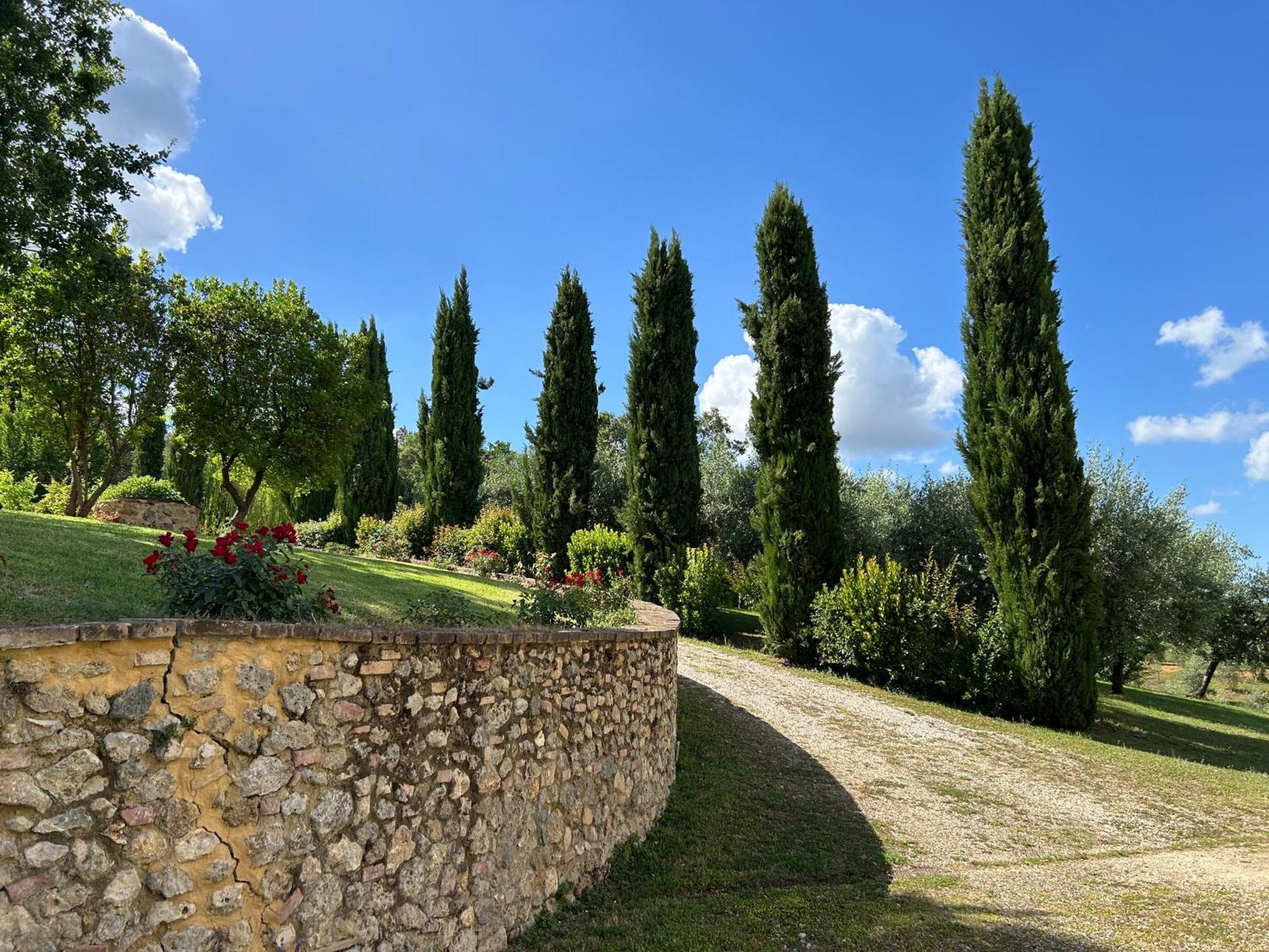 Podere Casanuova سان جيمينيانو المظهر الخارجي الصورة