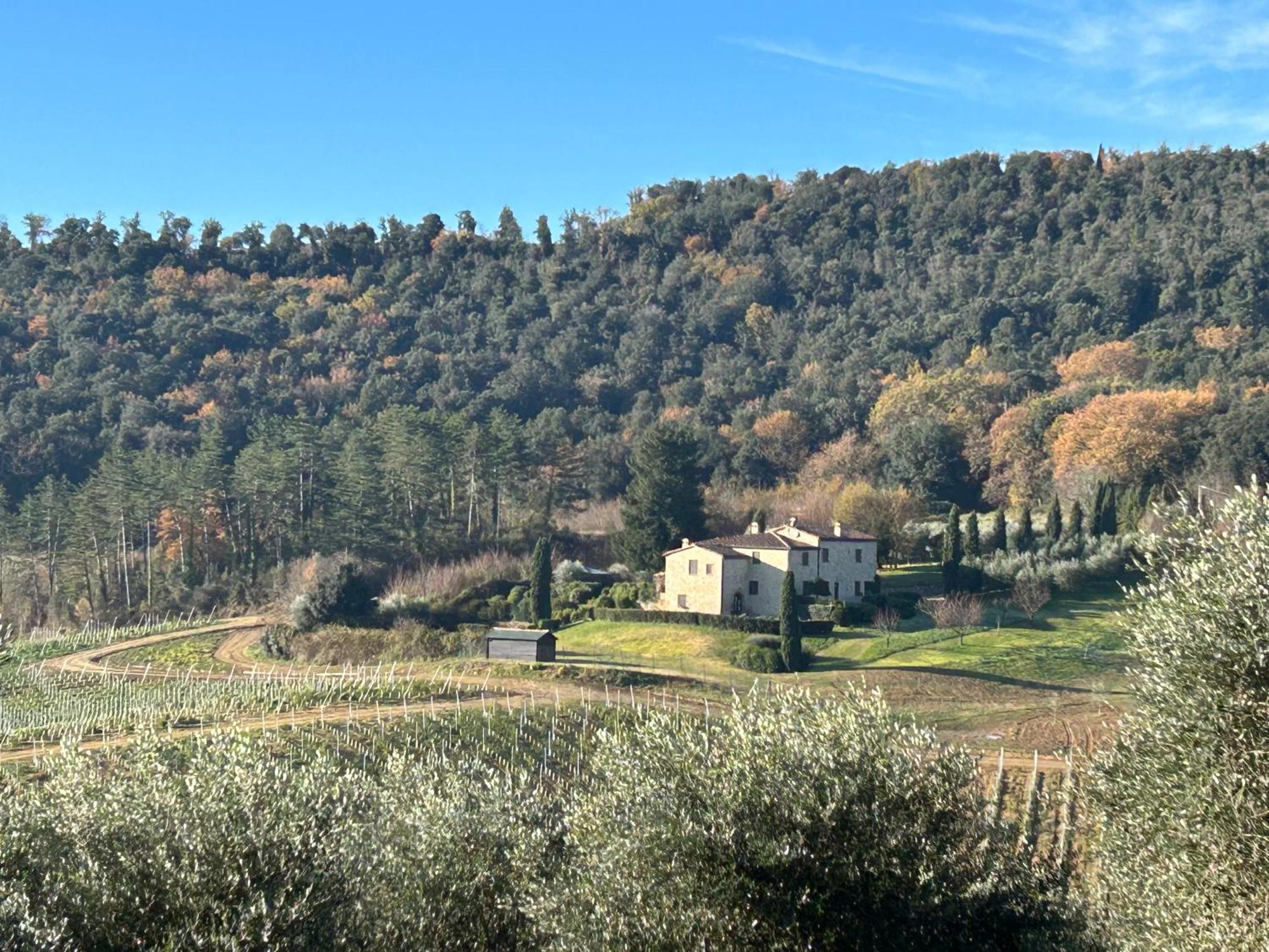 Podere Casanuova سان جيمينيانو المظهر الخارجي الصورة