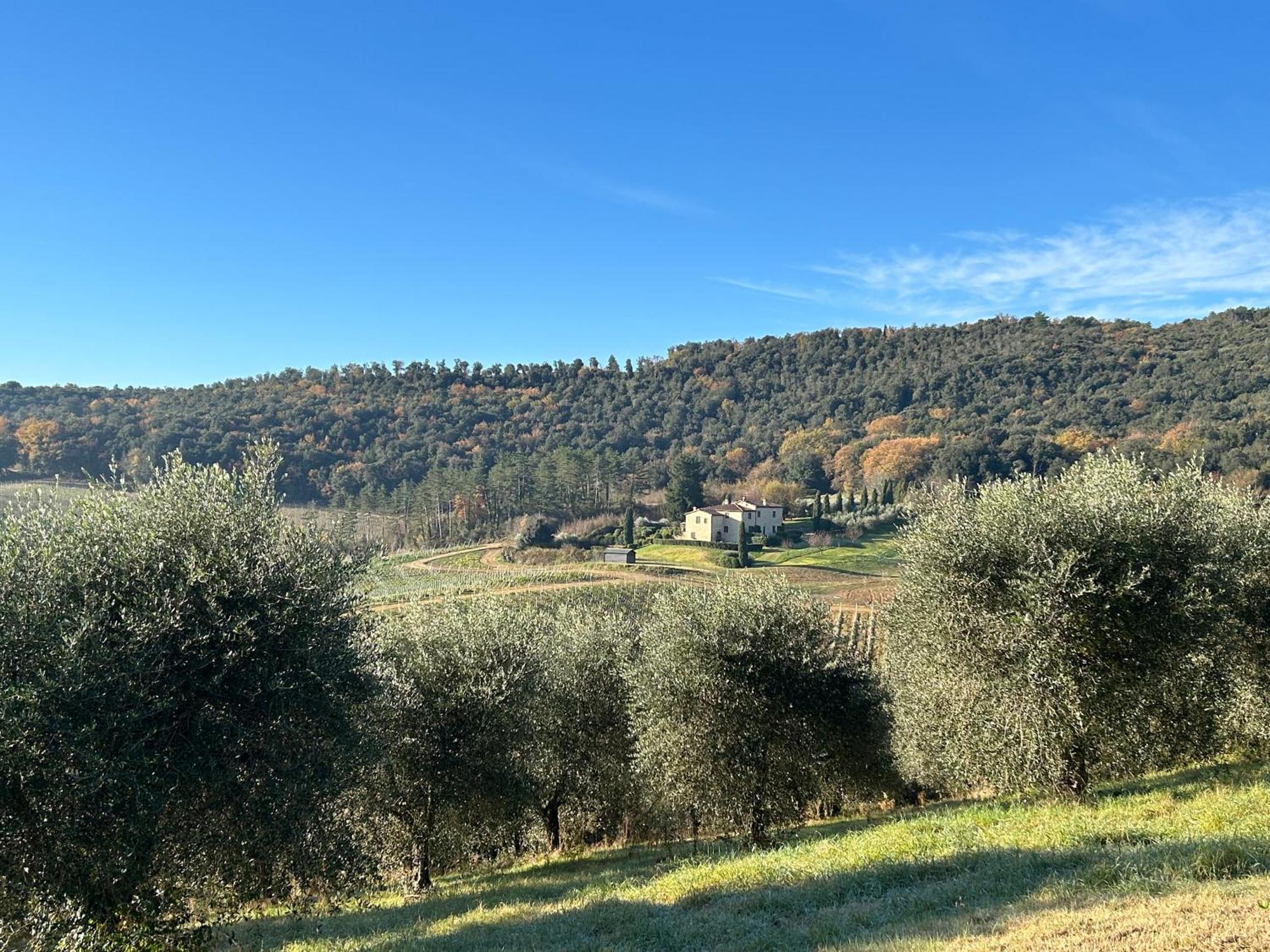 Podere Casanuova سان جيمينيانو المظهر الخارجي الصورة