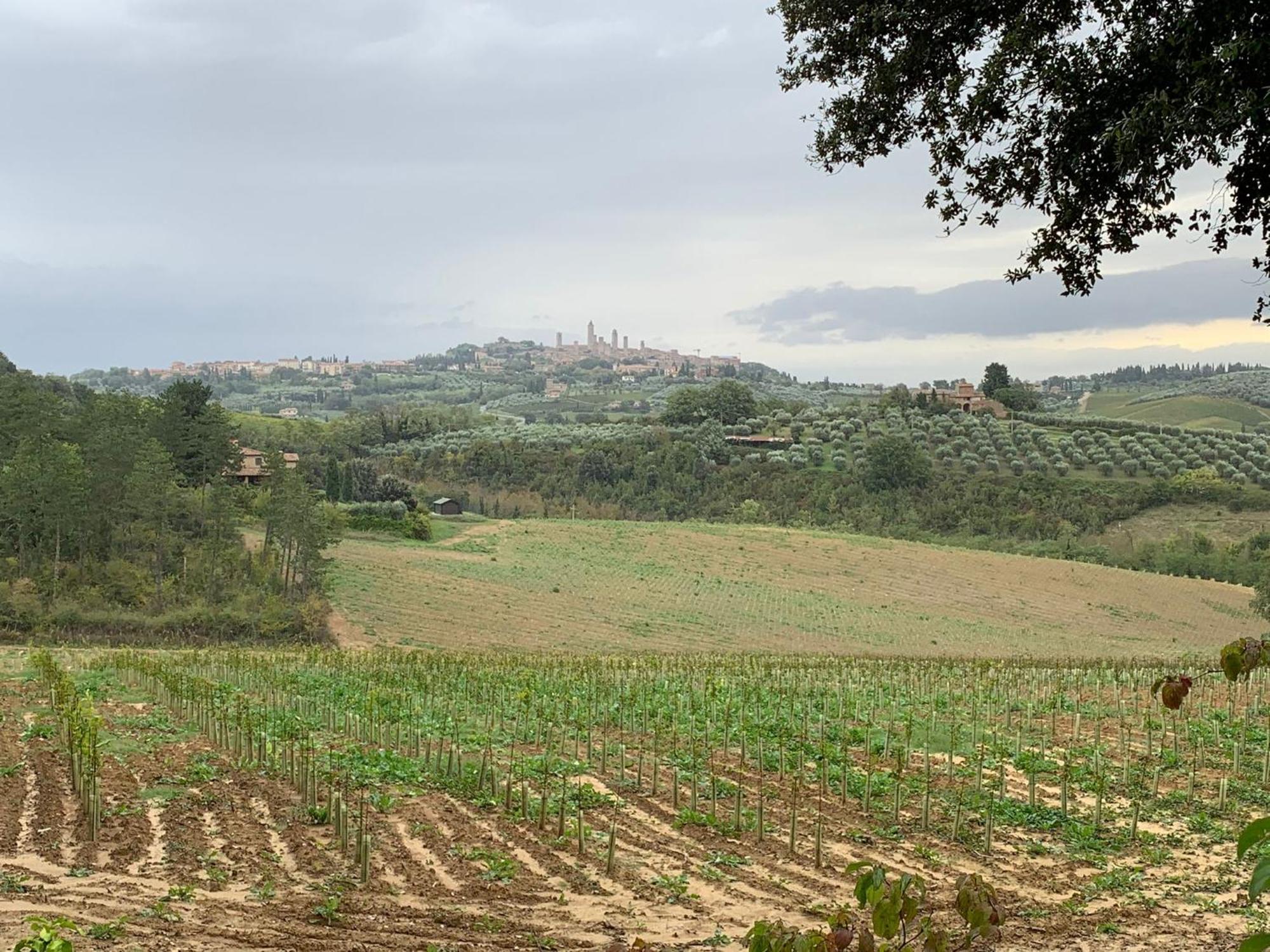 Podere Casanuova سان جيمينيانو المظهر الخارجي الصورة
