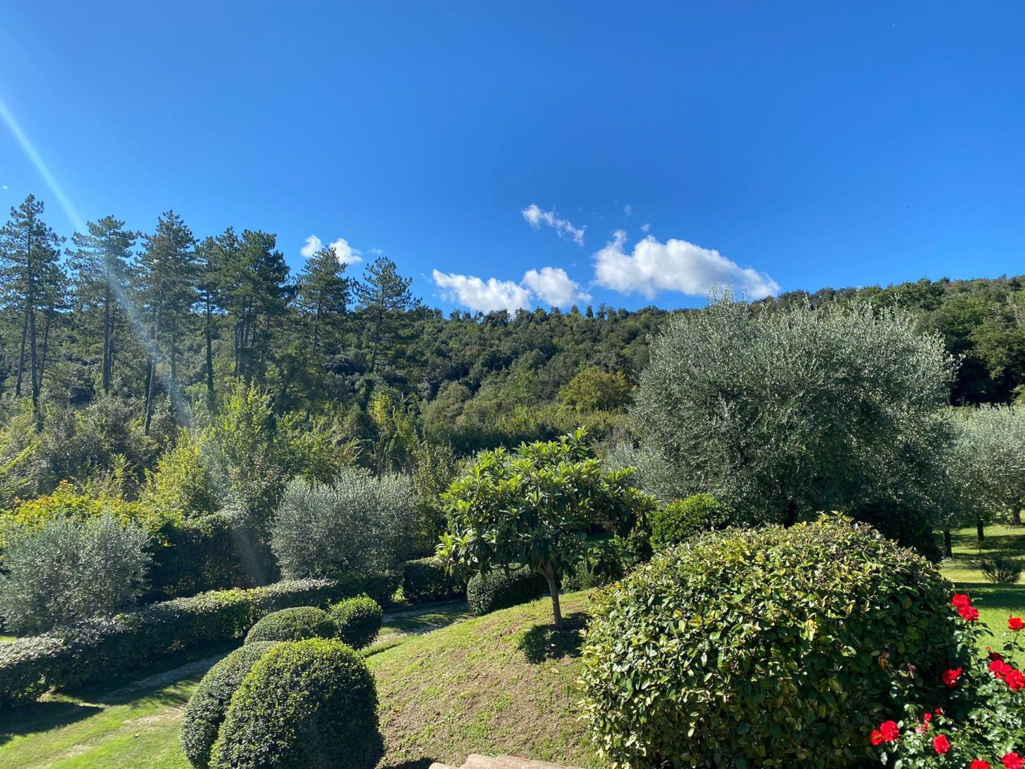 Podere Casanuova سان جيمينيانو المظهر الخارجي الصورة