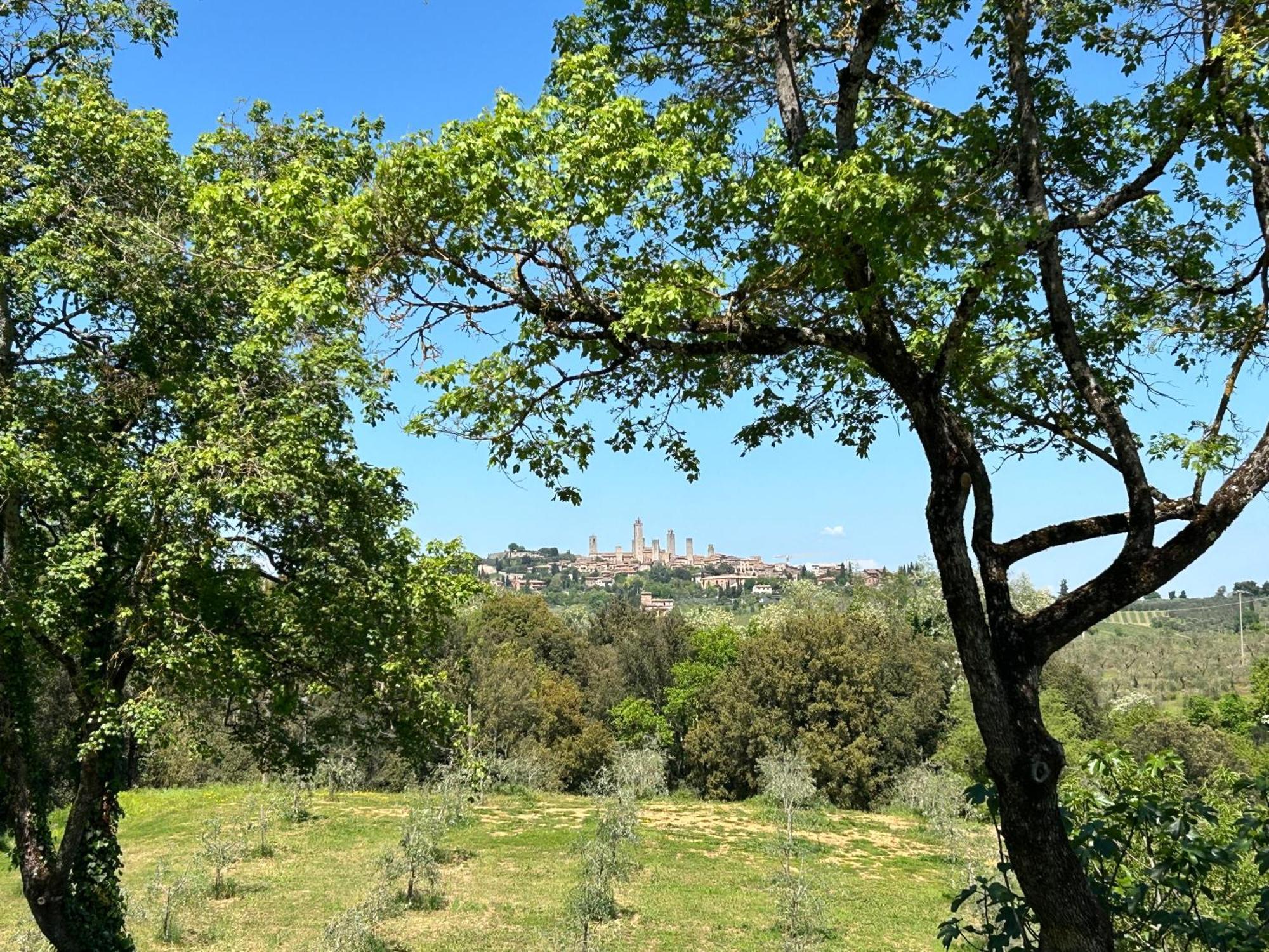 Podere Casanuova سان جيمينيانو المظهر الخارجي الصورة