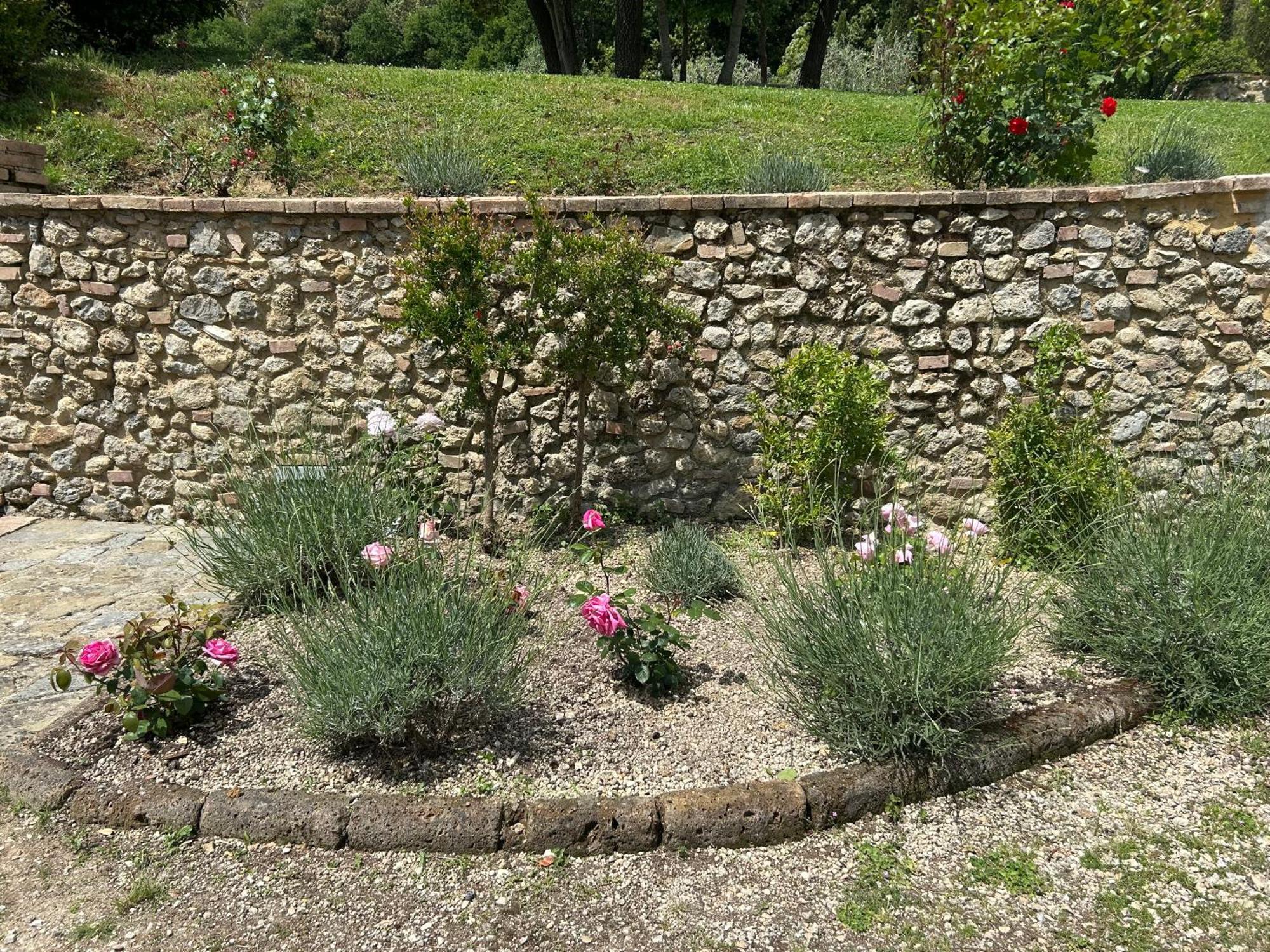 Podere Casanuova سان جيمينيانو المظهر الخارجي الصورة
